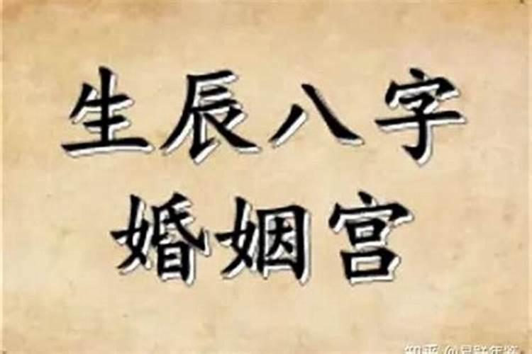 八字男女宫花园宫背靠背不合