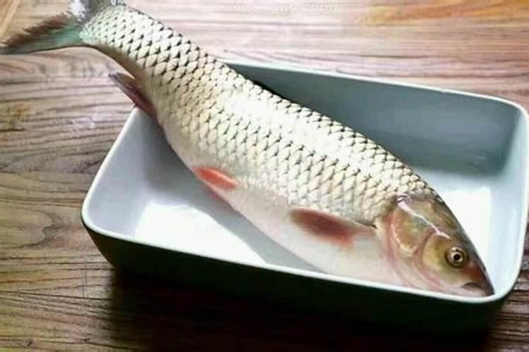 梦见别人送鱼给我是什么意思？