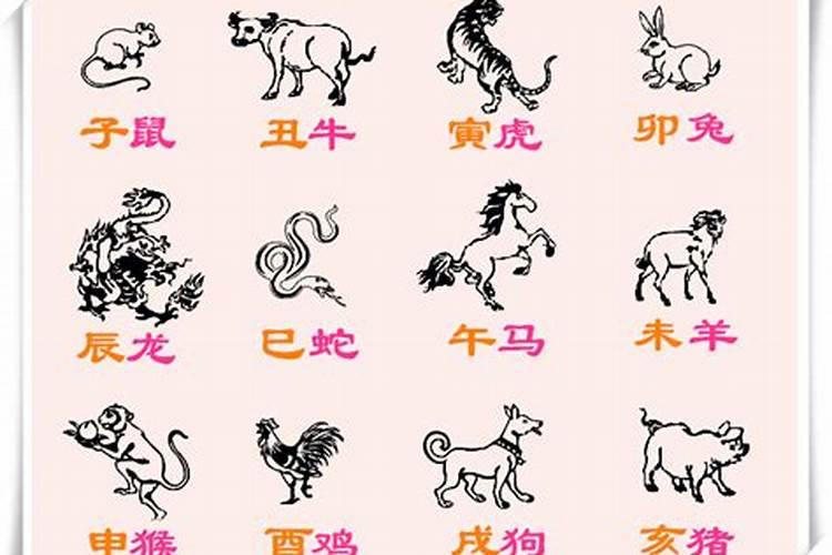 十二生肖哪一肖叫童子？