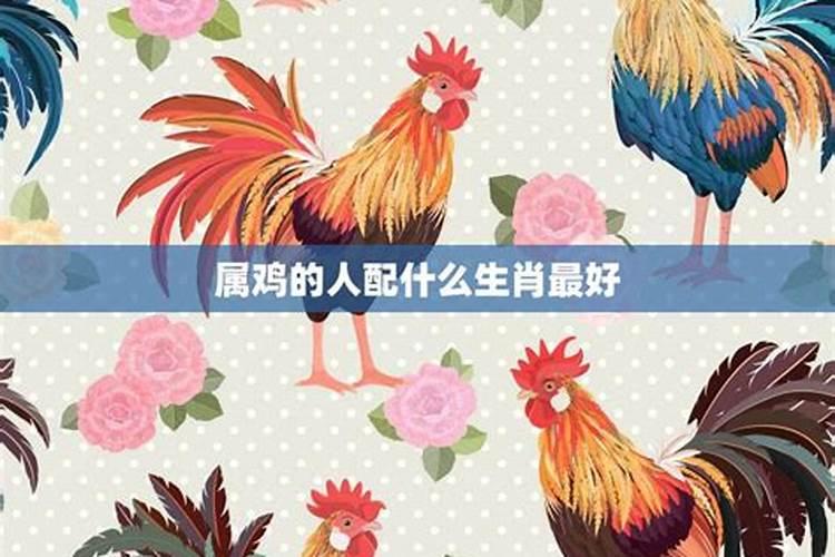 哪些生肖比较配？