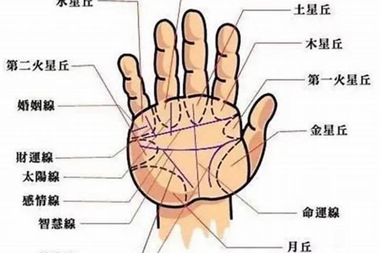 看手相是男左女右吗？