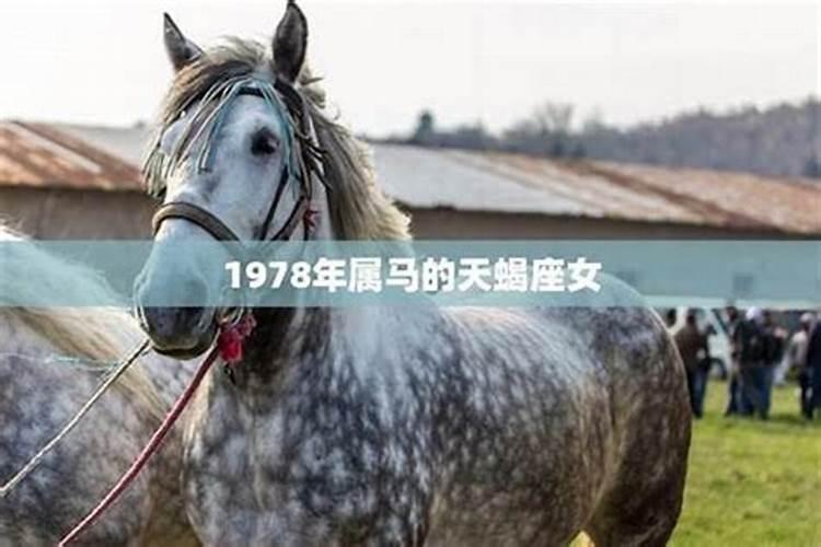 1978年出生的人一生运程