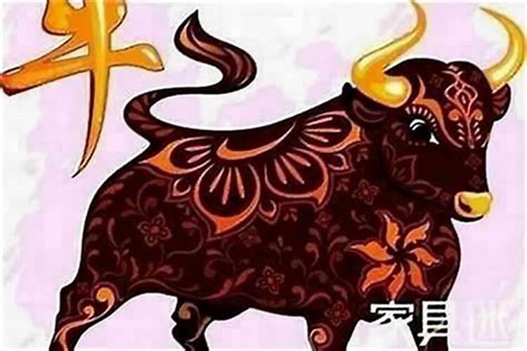 本命年牛年要注意什么？