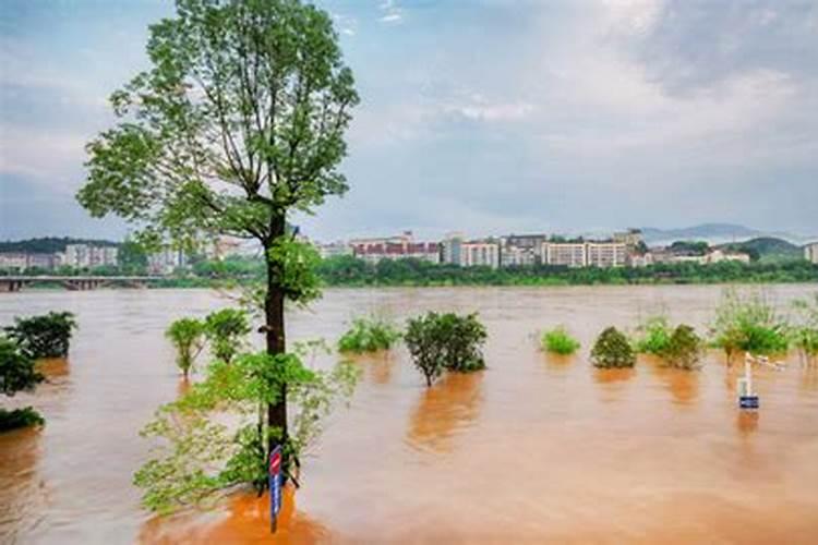 梦到洪水泛滥淹没了路