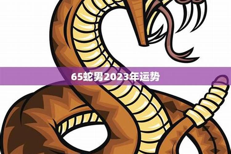 65年肖蛇男2026年运势
