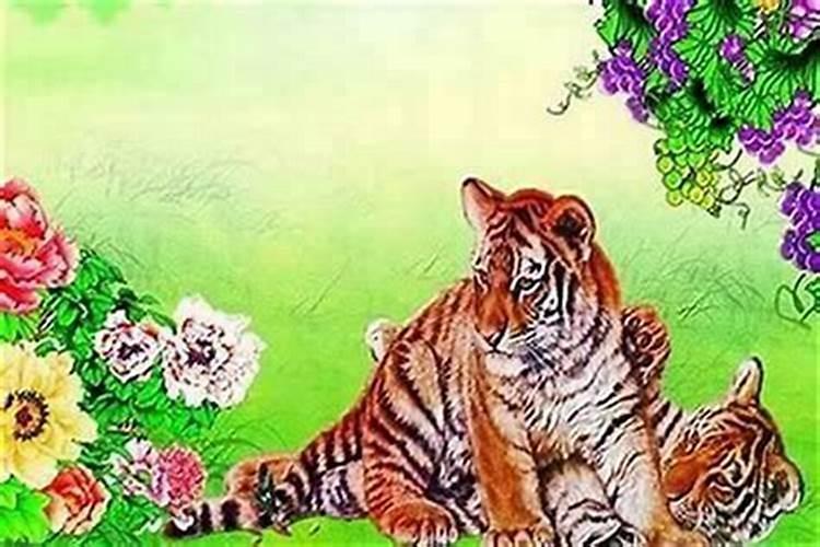本命年运气真的不好吗1998虎？