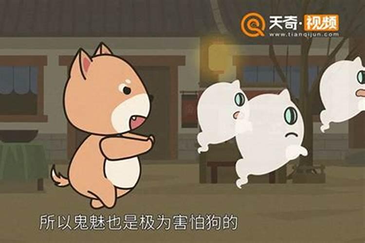 鬼节最怕几种生肖？