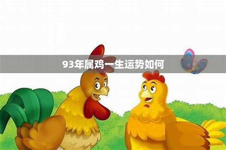 93年的鸡一生的运程