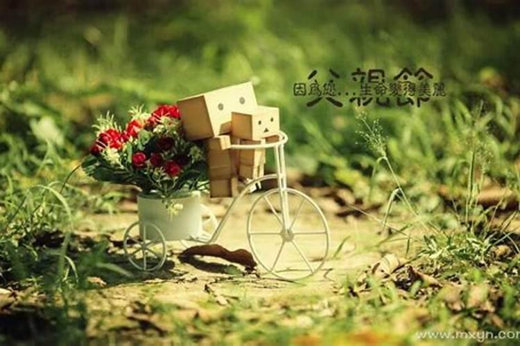 梦到已故父亲回到家中