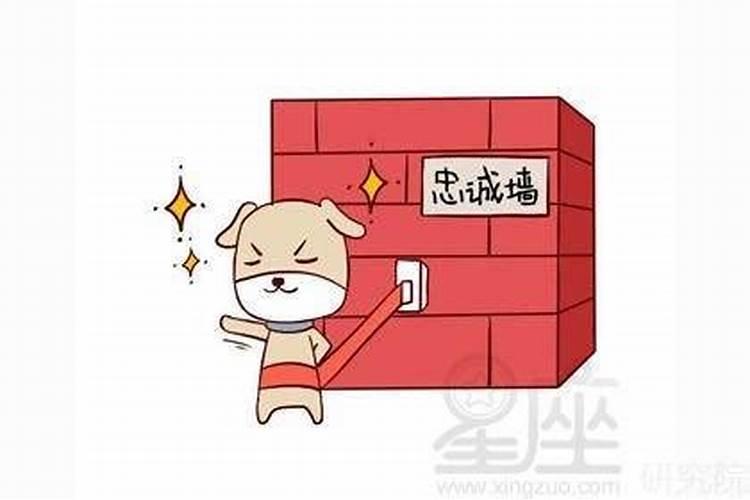 小人生肖有哪几个最忠诚的？