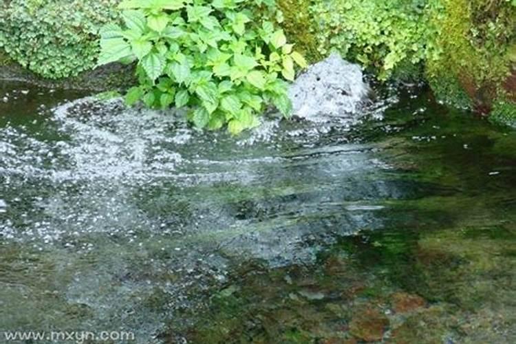 梦见水是什么意思河里的水特别多？