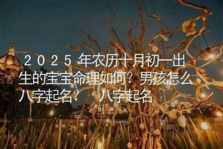 2026十月初一出生的男孩