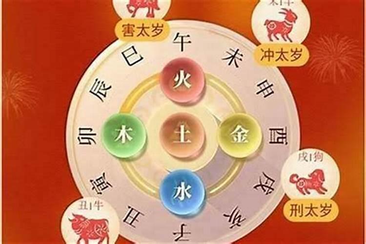 属虎在哪年犯太岁结婚好？