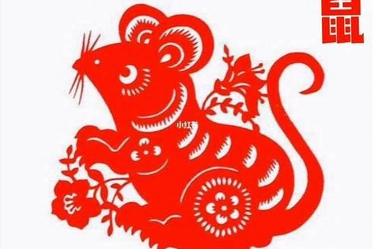 鼠年虎犯太岁吗好不好？