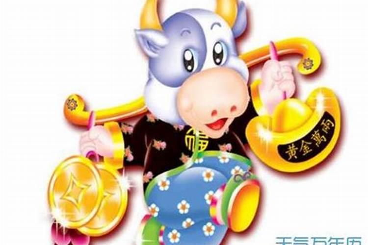 属牛怎样增加财运和运气？