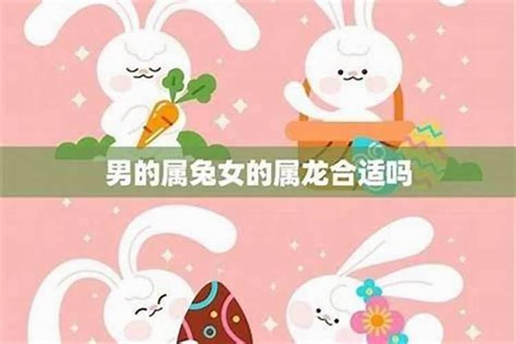 兔女和鸡男合婚吗？