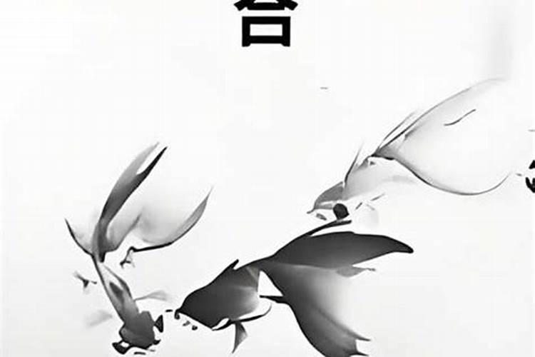 我跟猫八字不合