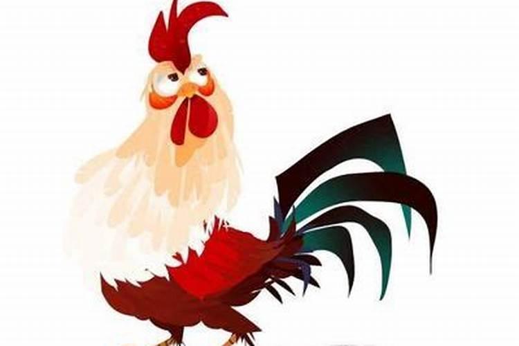 属鸡人本命年如何提升财运？