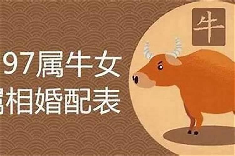 哪些属相婚配不合适？