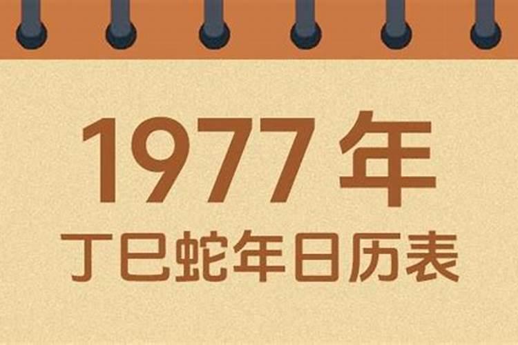 1977年农历十一月出生的运程