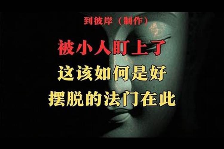 被小人盯上躲不掉怎么破？