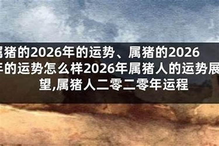 属猪的2026年下半年的运势怎么样？