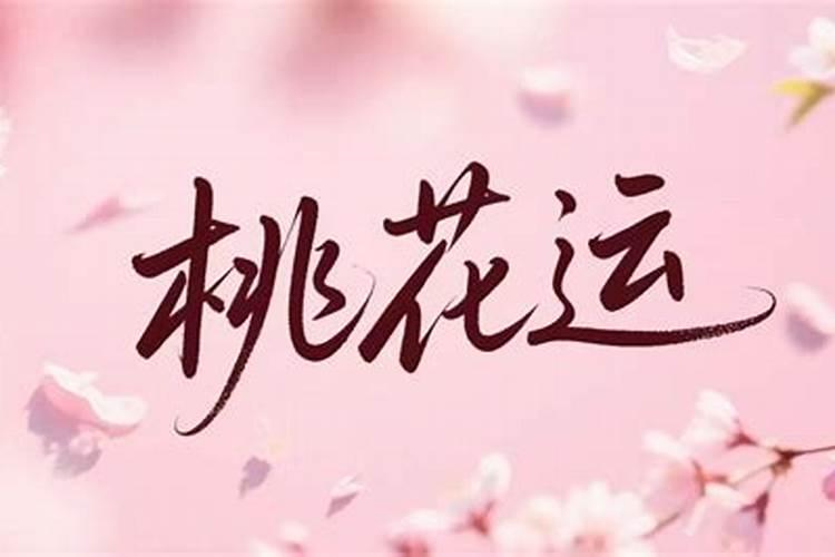 梦到什么预示桃花运？