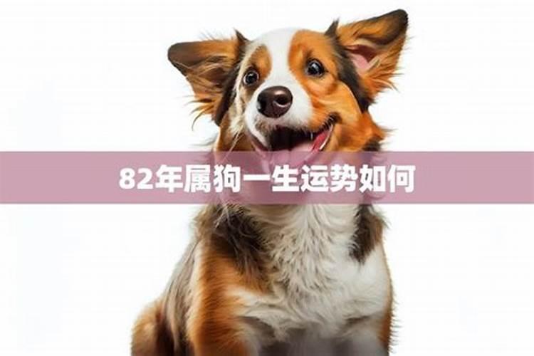 82年属狗农历四月运势如何？