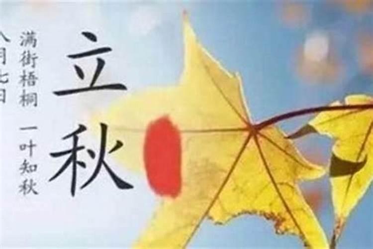 立秋以后注意事项