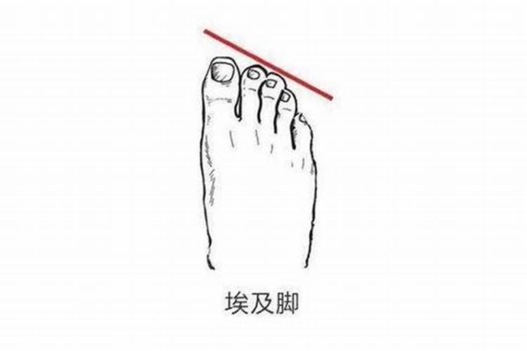 埃及脚的人命运如何？