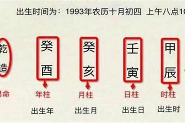 合婚中的日干代表什么意思？