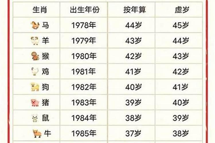 属兔的人腊月运气好吗？
