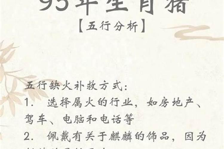 属猪女今年2026年运势