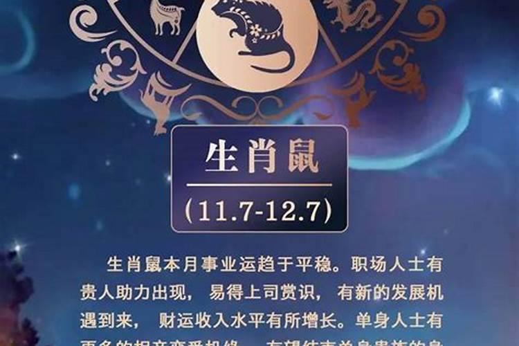 属鼠人出生月的运程