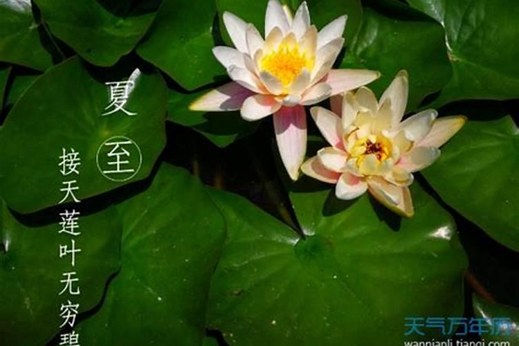 1980年夏至是哪一天？