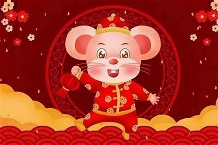 属鼠本命年运气好不好呀？