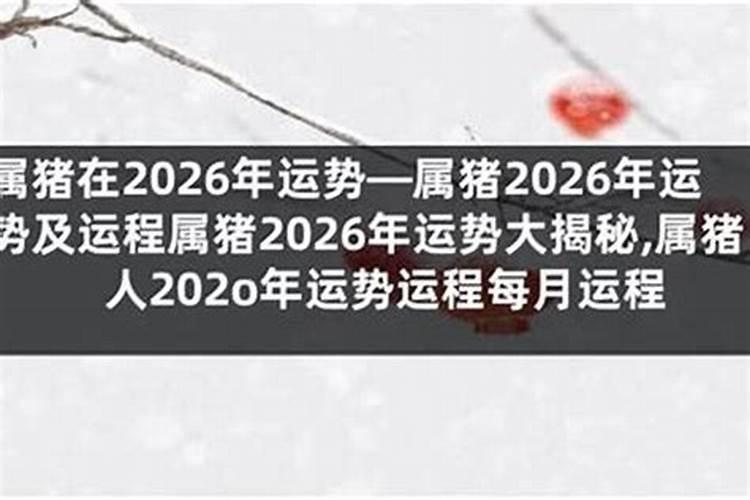 202O年63出生运势如何？