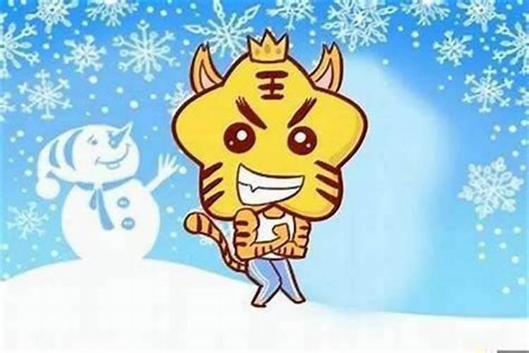 虎与鸡年运势如何？