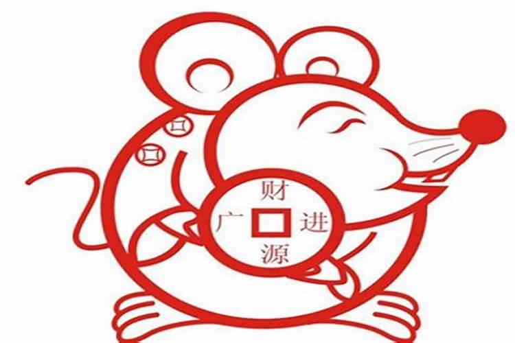 属鼠和属狗今年运势如何？