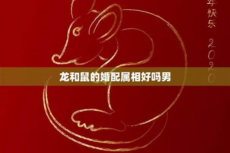 鼠与鼠属相婚配好吗？