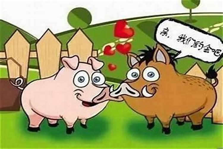 牛和牛八字合吗？