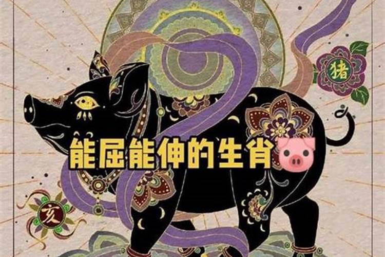 七一年属猪一生的运势