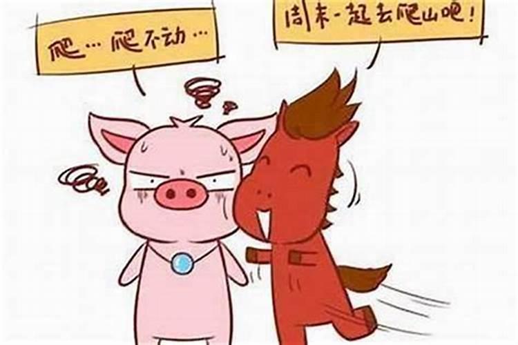 属猪男跟属马女合婚吗？