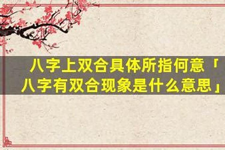 八字有双合是什么意思？