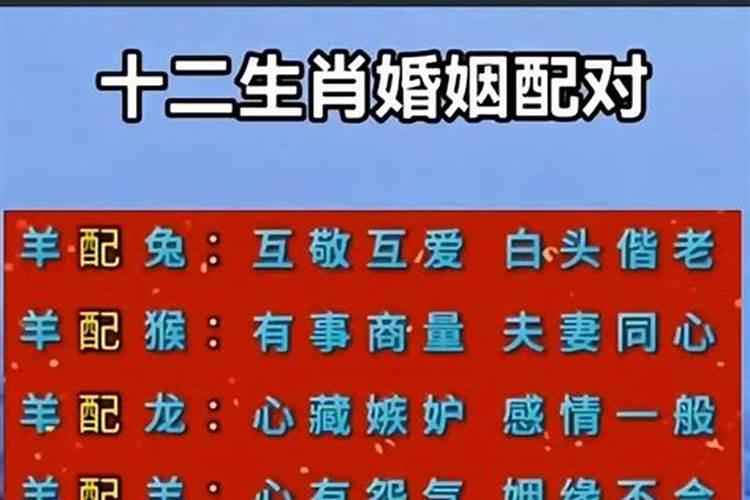 女狗男羊合婚吗？