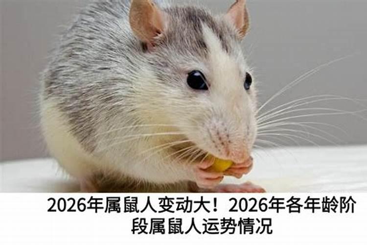 1972属鼠人2026年运势