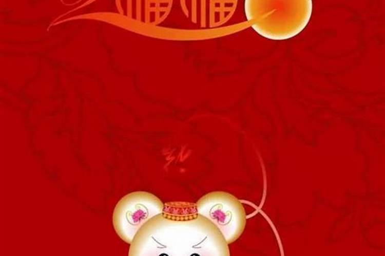 属鼠本命年忌什么生肖？