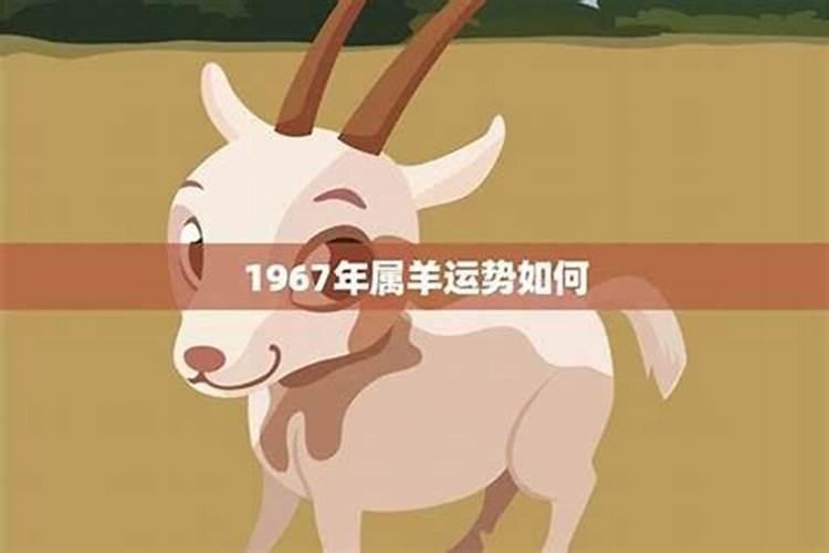 属羊的1967年的运程如何？