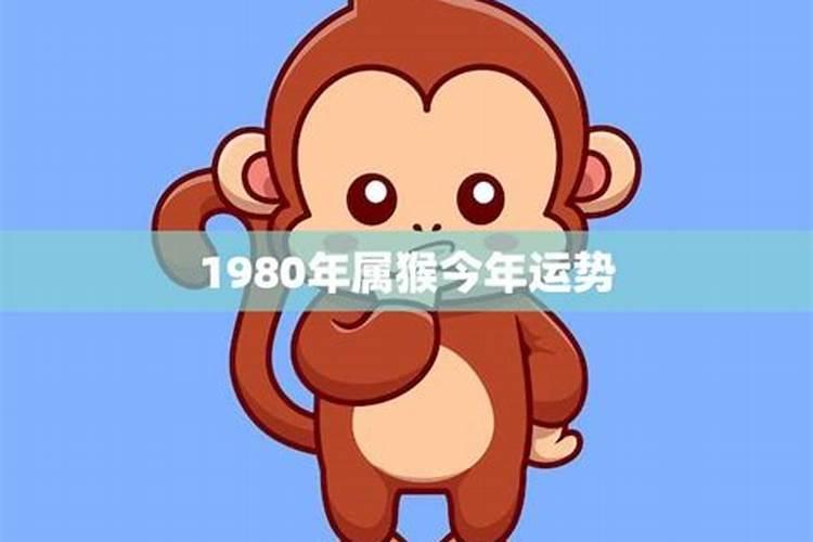 80年猴年今年运势