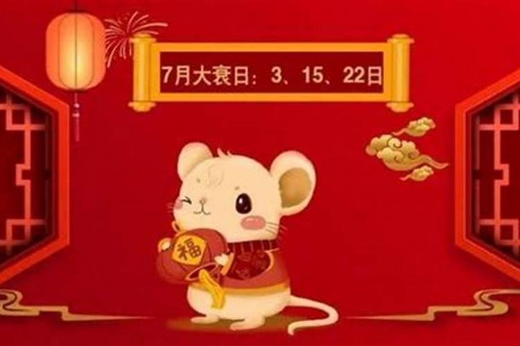 今年属鼠72年运程